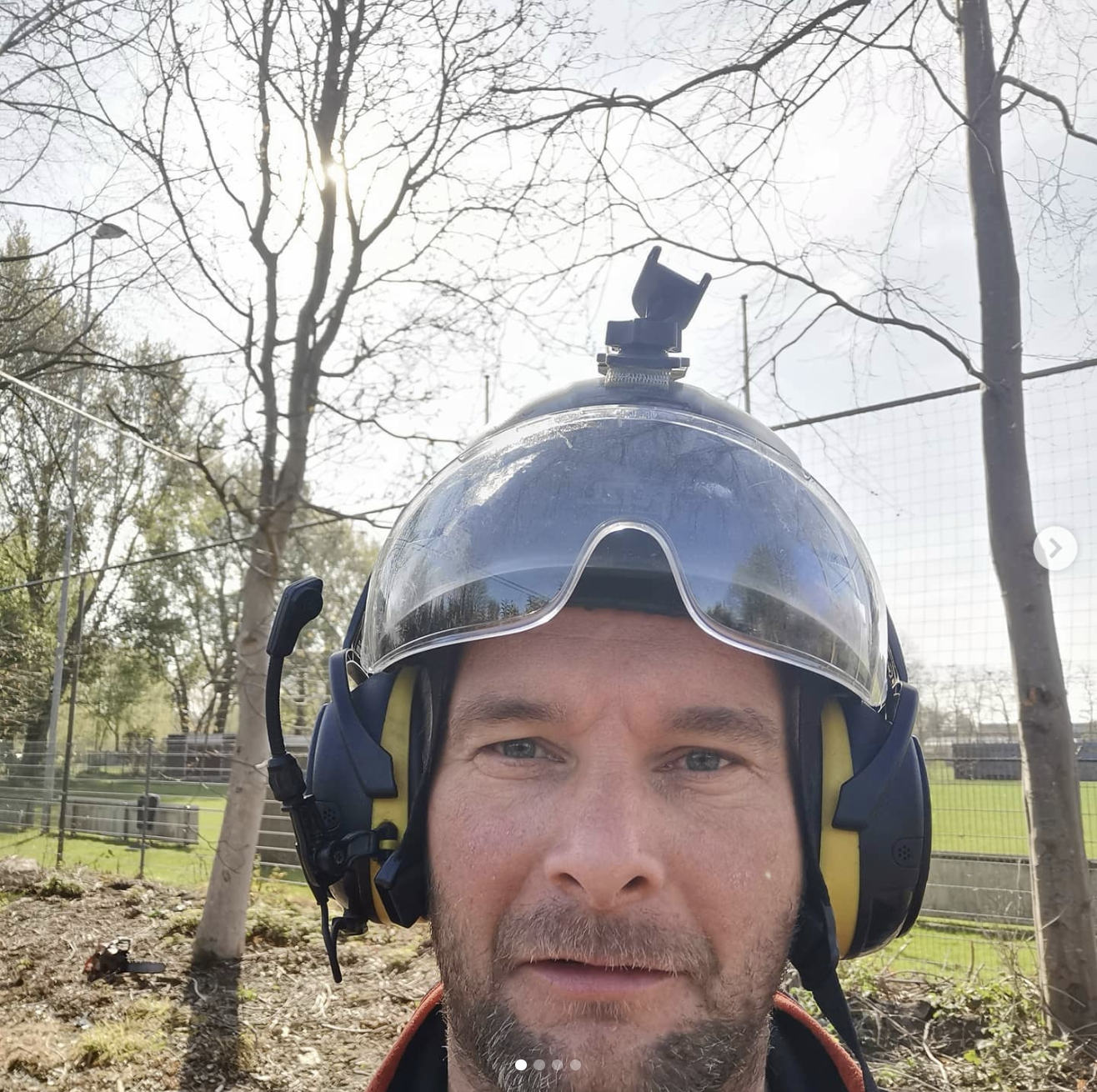 Bosperceel met jonge aanplant