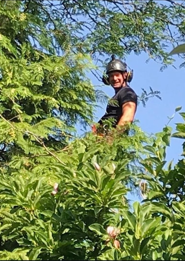 Niels Cremers lachend met helm en gehoorbescherming hoog in een boom
