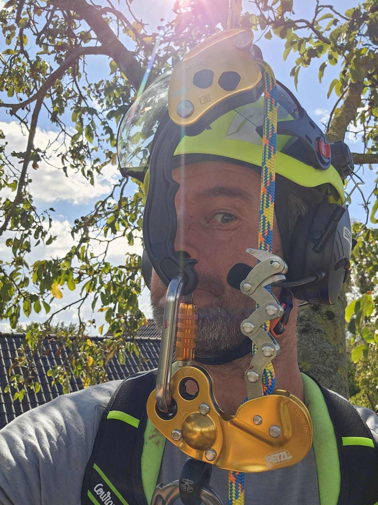 Boomverzorger met helm en klimuitrusting van Cremers BBG