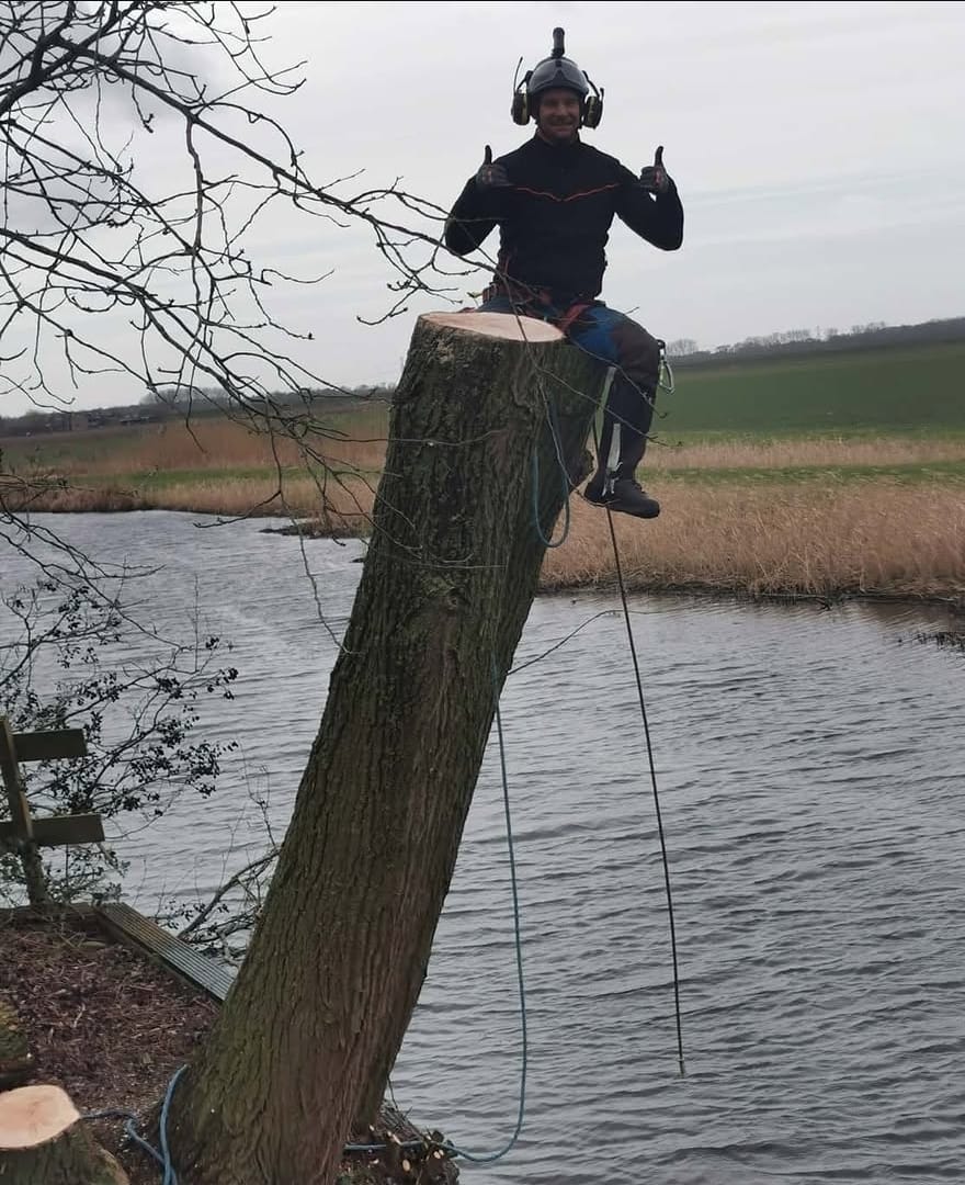 Boomverzorger op een afgetopte stam langs het water