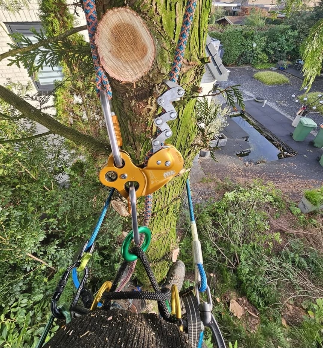 Katrol en touwwerk in de stam tijdens het neerlaten van stamdelen
