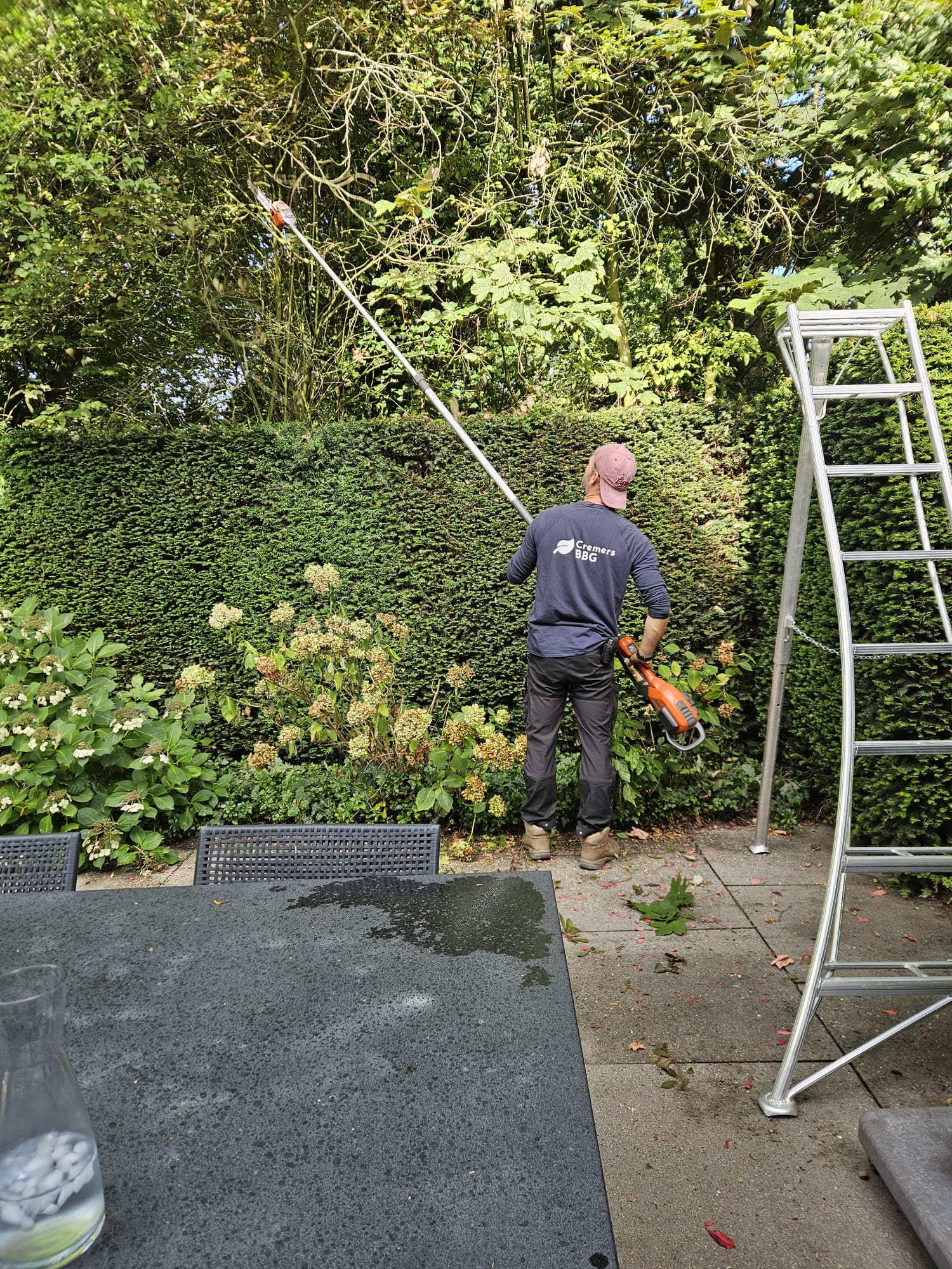 Medewerker van Cremers BBG snoeit een hoge haag met een telescoopzaag
