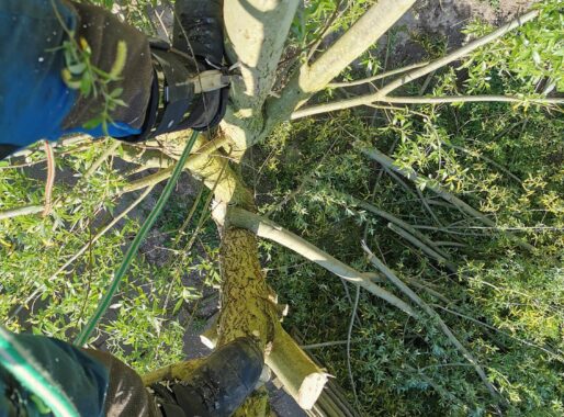 Altijd up-to-date kennis