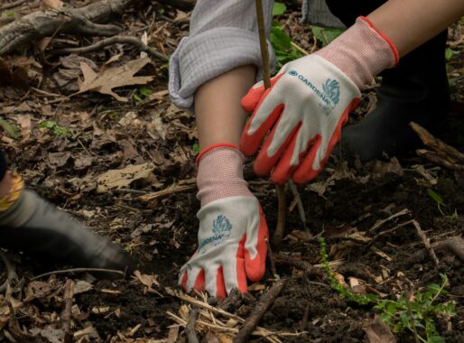 Hoe Cremers BBG te werk gaat