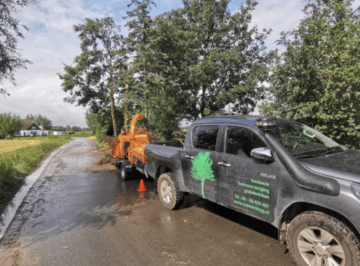 Wat Cremers BBG doet binnen de bosbouw