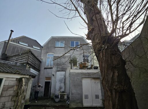 Wanneer is een kastanjeboom niet meer veilig?